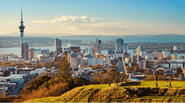 New Zealand Networking